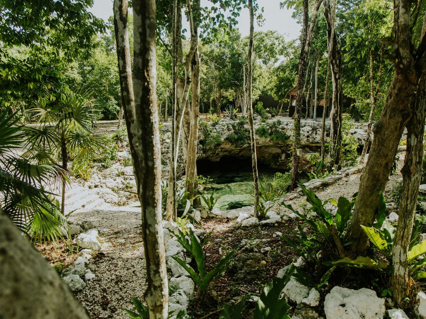Caribe y naturaleza
