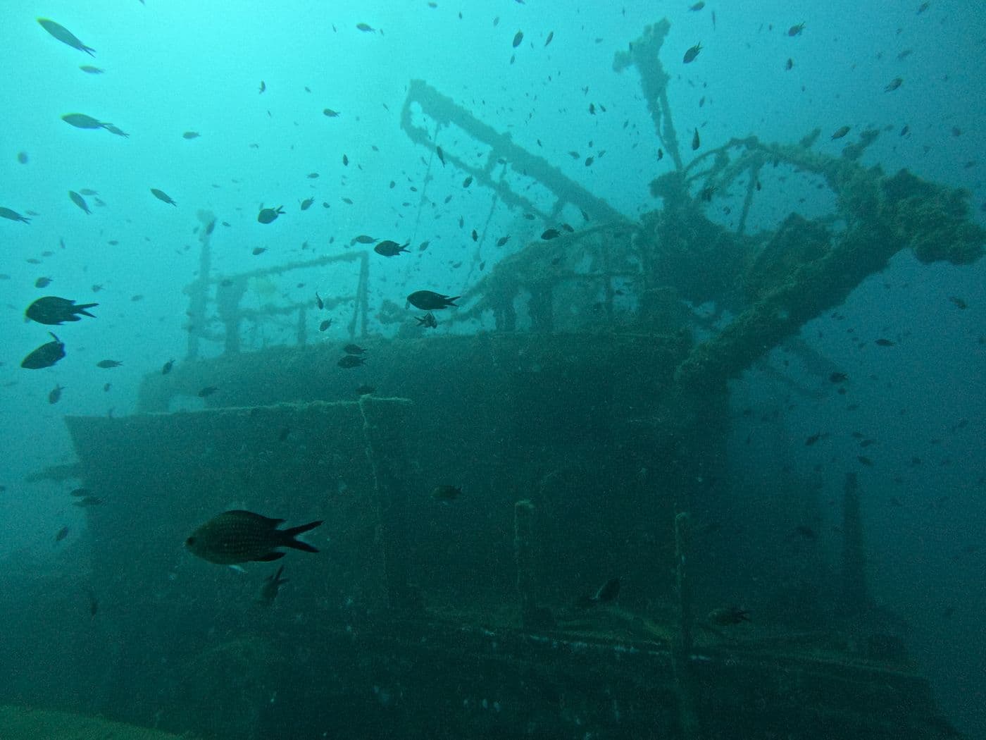 Coron