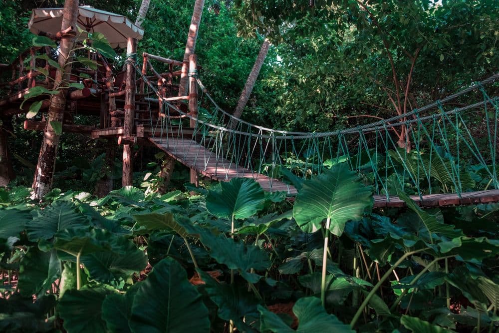 El campamento del volcán