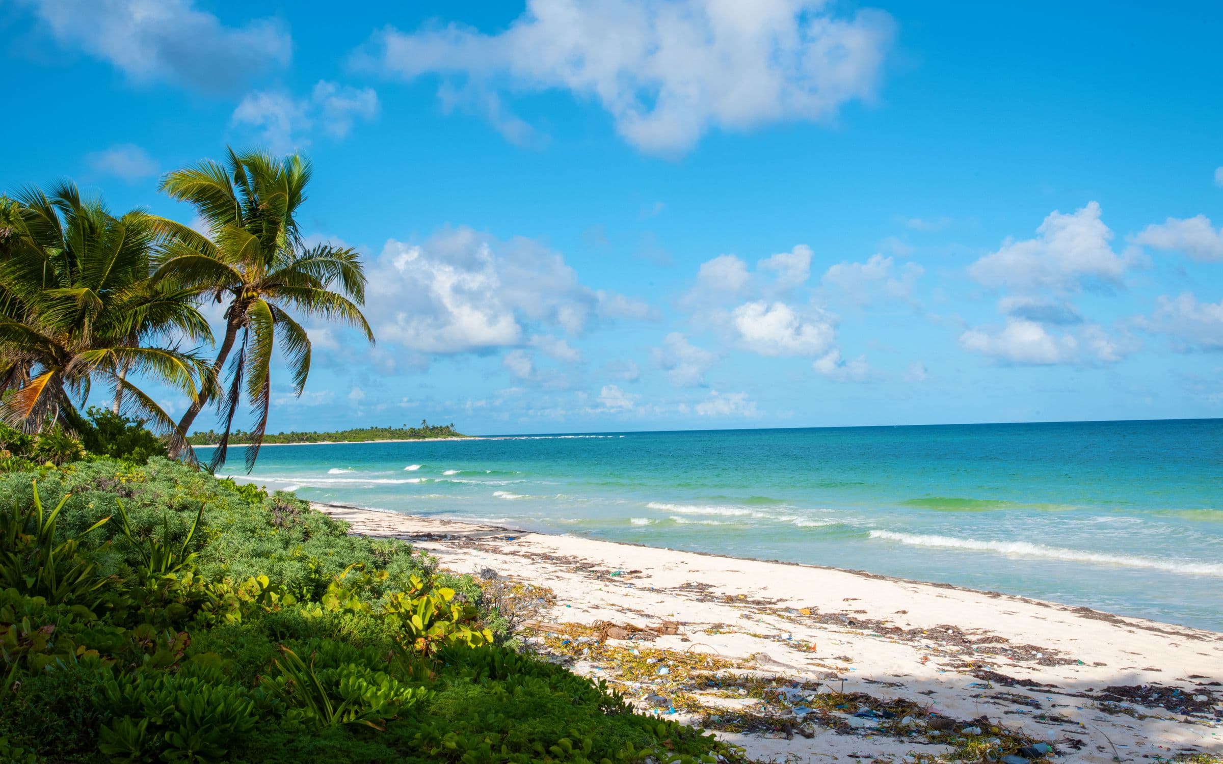 Caribe maya