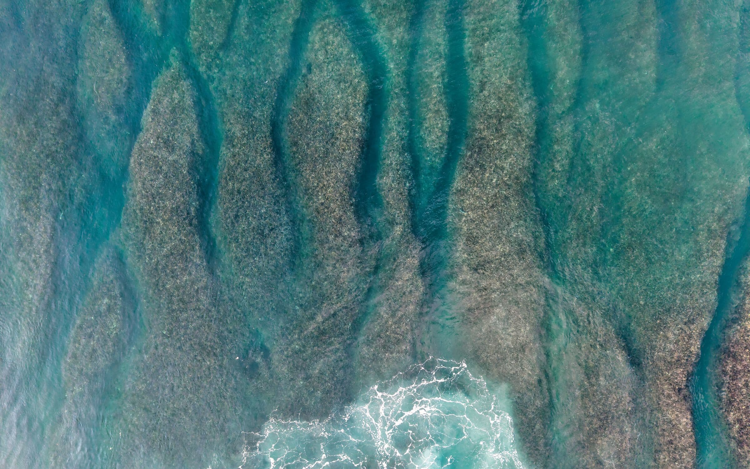 Bula spirit