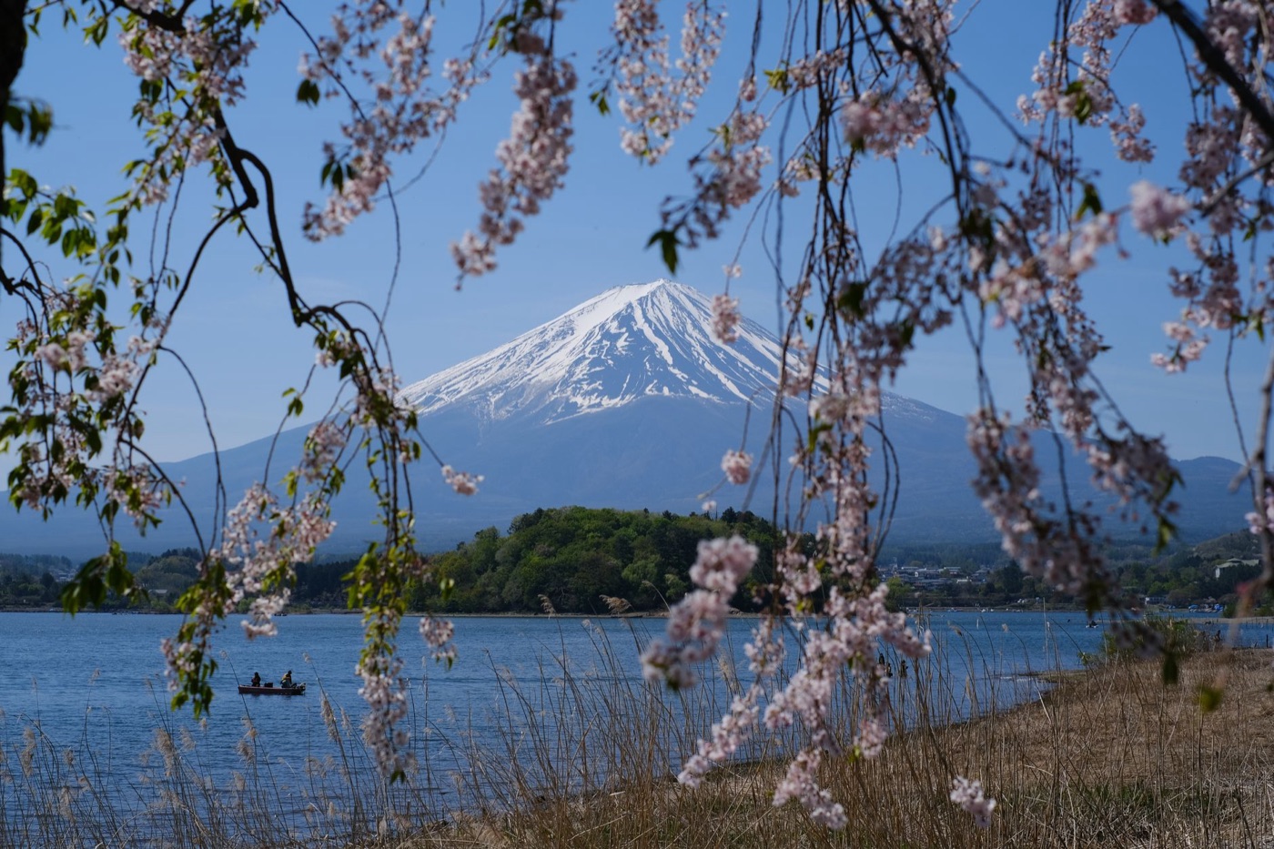 Monte Fuji