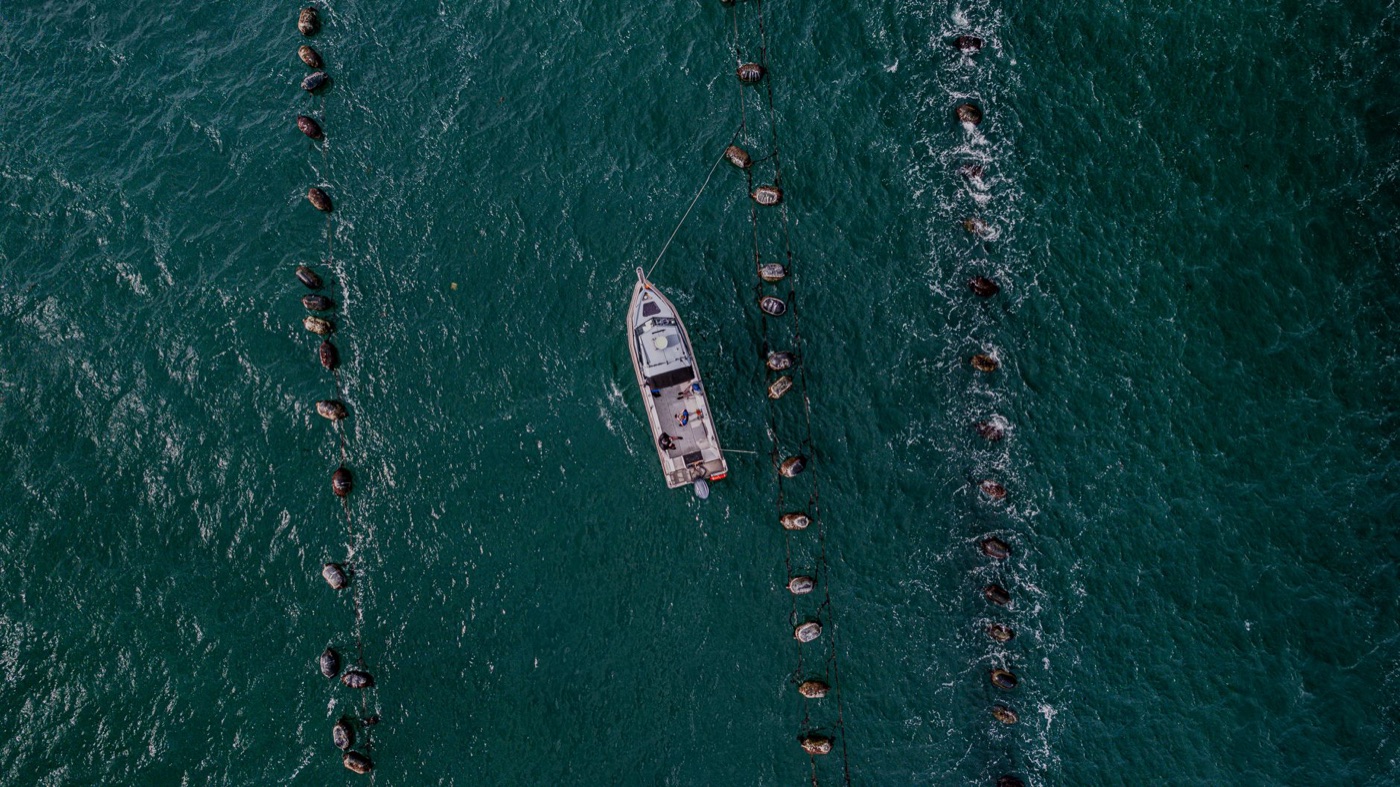 Island hopping