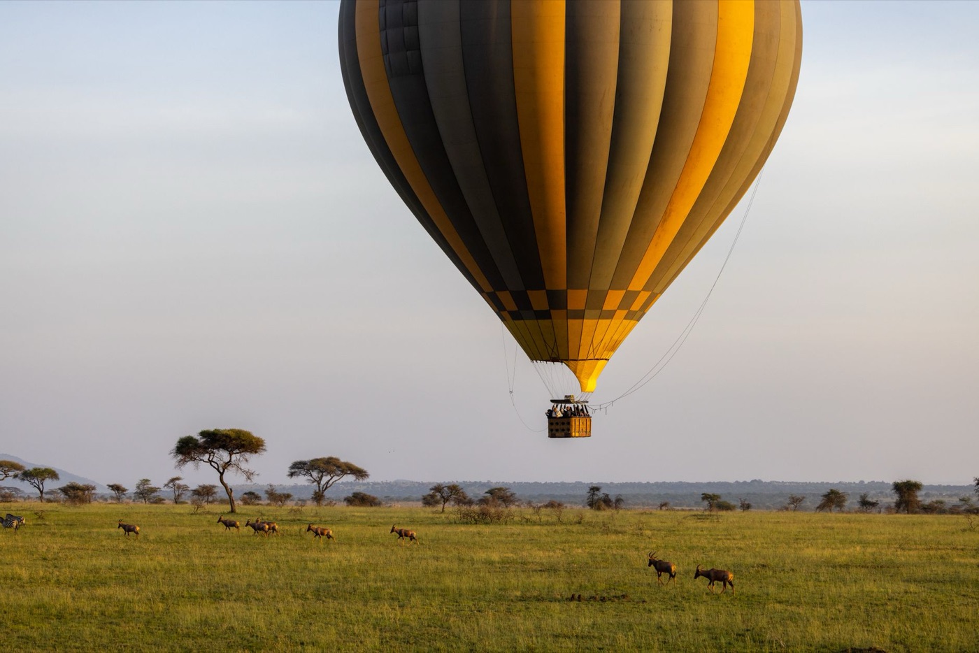 Globo al amanecer